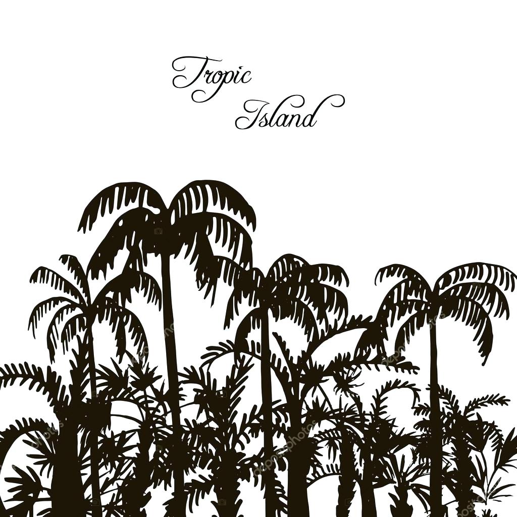 1024x1024 Template Palm Tree Template