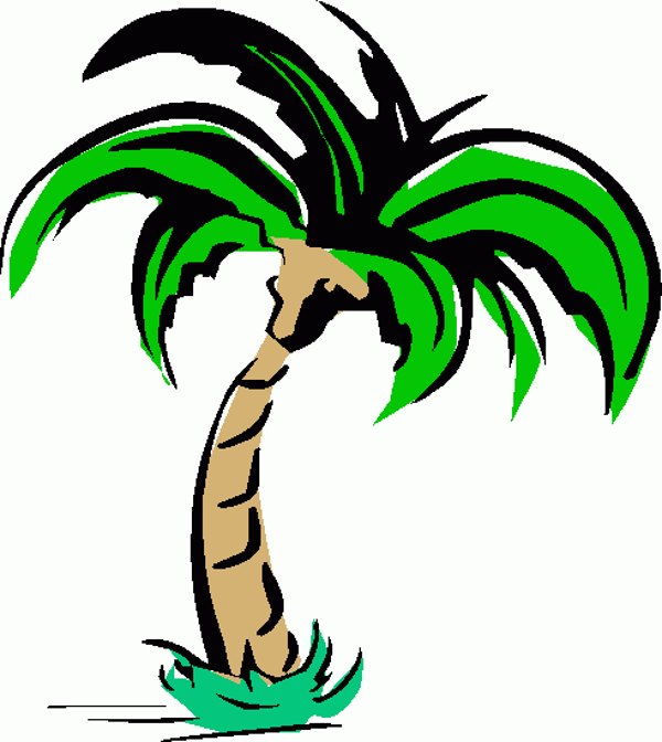 600x672 Palm Tree Clip Art Silhouette Free Clipart Images 2