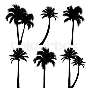 320x320 Silhouette Of Sugar Palm Tree On Sunset Sky Stock Vector Colourbox