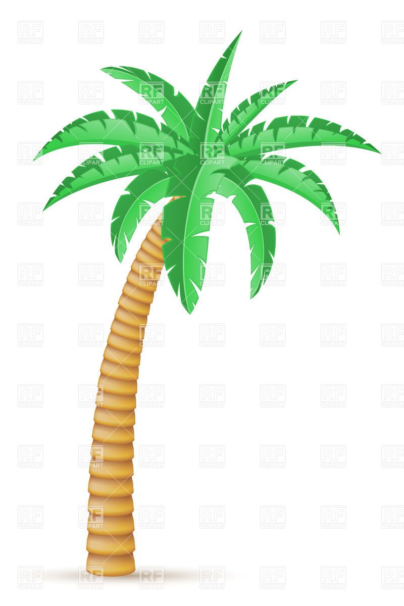 800x1200 Simple Palm Tree Silhouette