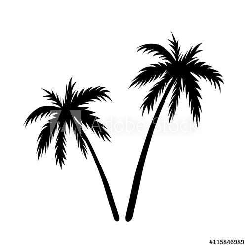 500x500 Two Palms Sketch. Black Coconut Tree Silhouette, Isolated On White