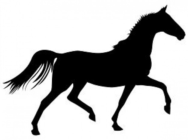 626x469 Trotting Horse Photo Free Download
