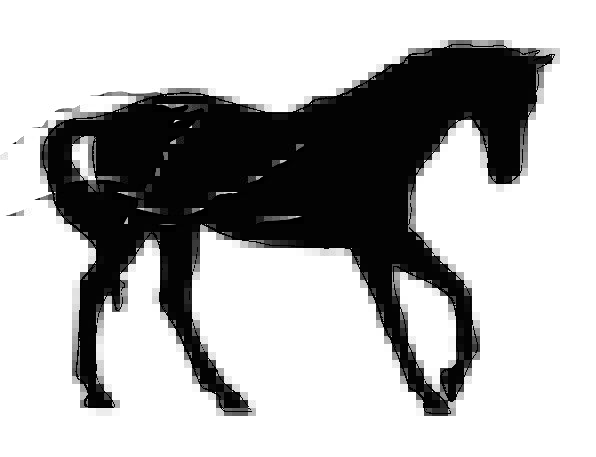 596x457 Horse, Mount, Dark, Outline, Plan, Black, Silhouette, Beautiful