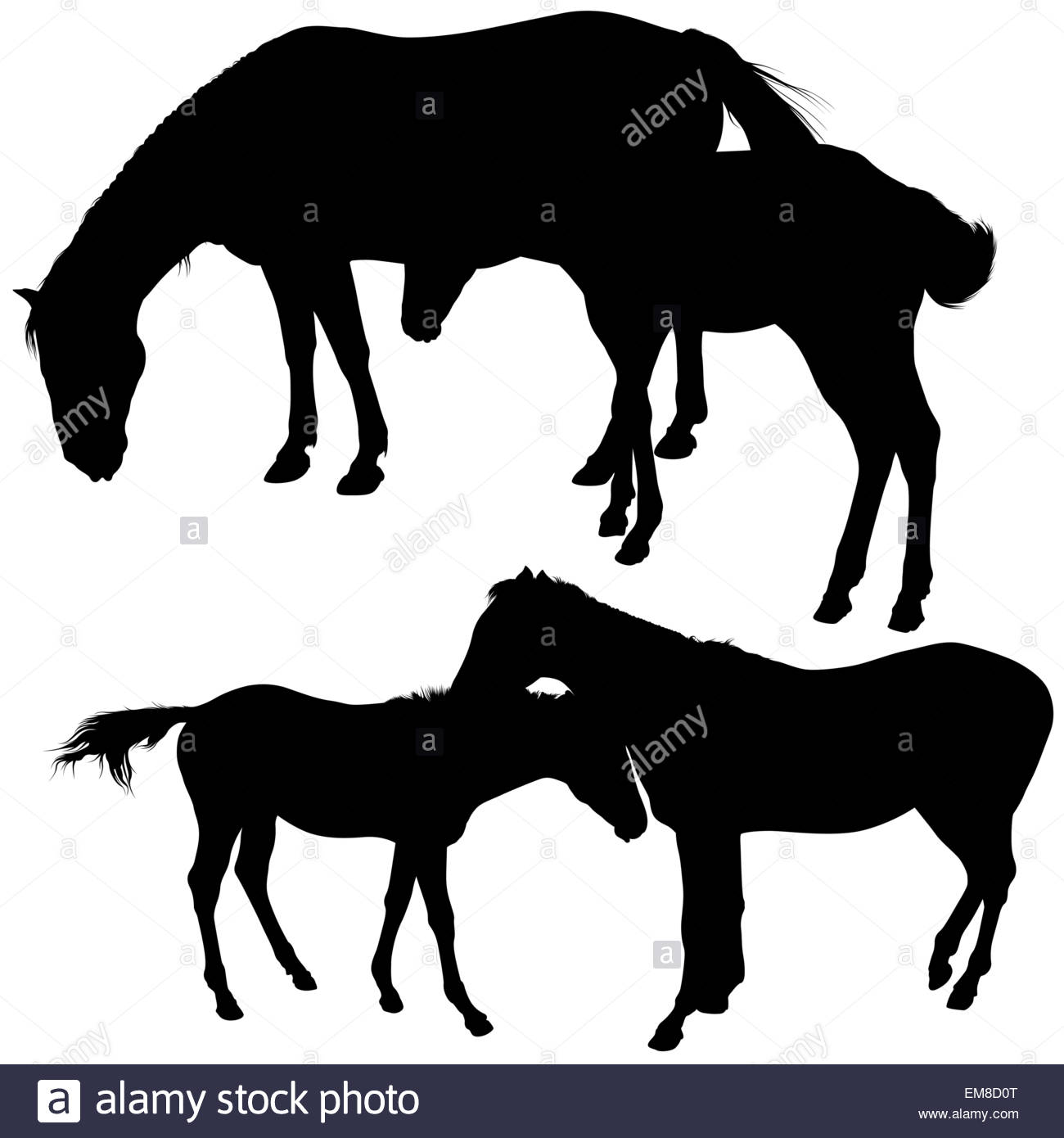 1300x1390 Horse Silhouettes Stock Photos Amp Horse Silhouettes Stock Images