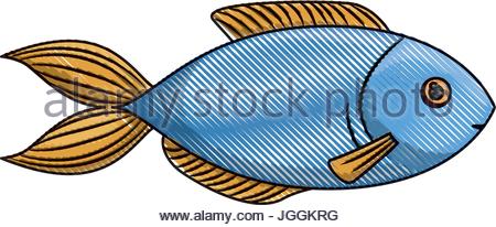 450x206 Vector Illustration Of A Big Blue Marlin Stock Vector Art