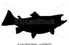 228x150 Trout Silhouette Coloring Page 2019