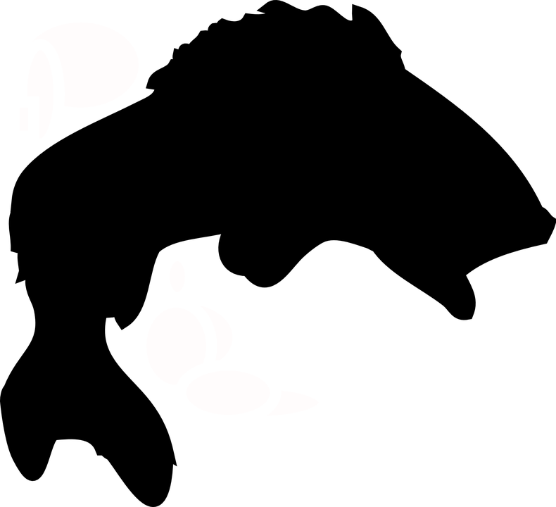 790x720 Black And White Clipart Of A Silhouette Of A Fish