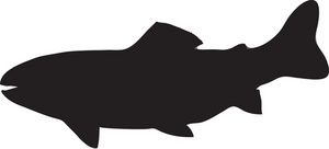 300x136 Silhouette Fish