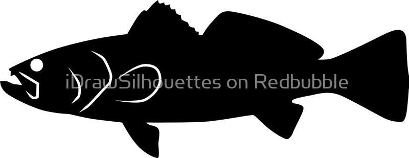800x309 Sea Trout Fish Silhouette (Black) Canvas Prints By