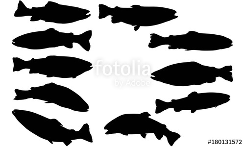 Trout Silhouette Vector at GetDrawings | Free download