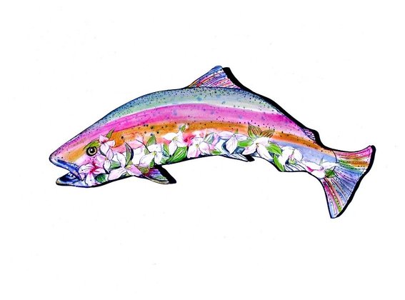567x420 Trout Clipart Animated