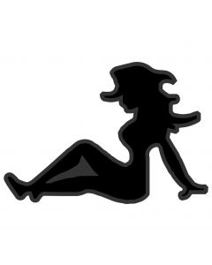 240x300 Blacklite Decals