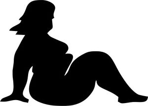 300x215 Trucker Girl Silhouette Vinyl Decal 150mm Ebay
