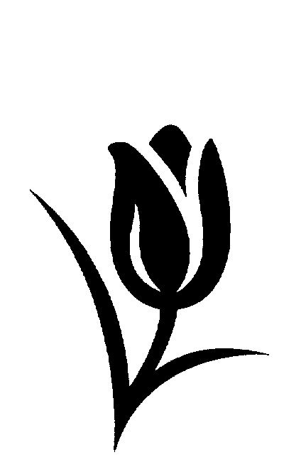 424x664 Tulips Silhouette