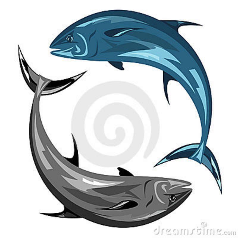 800x800 Silhouette Of Tuna More Similar Stock Images Of ` Tuna Vector