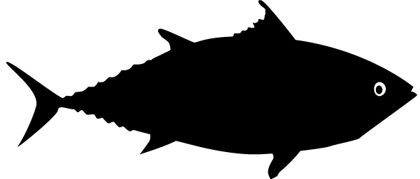 590x252 Tuna Lifecycle 05.jpg