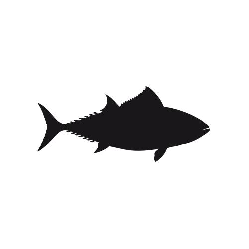 500x500 Bigeye Tuna