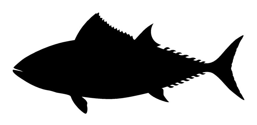 854x416 Tuna Silhouette Decal Sticker