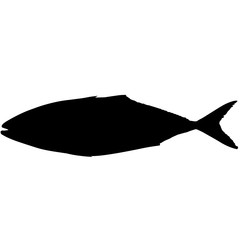 240x240 Tuna Silhouette Vector Graphics