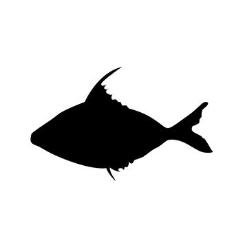340x340 Free Silhouettes Tuna, An Illustration