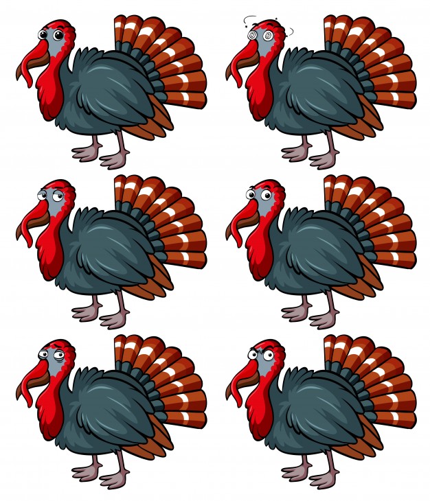 626x730 Turkey Bird Vectors, Photos And Psd Files Free Download