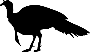 300x174 Ohio Hunting And Fishing Paradise