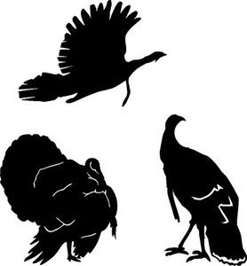 278x300 Pix For Gt Turkey Decal Cricut Stuff Cricut