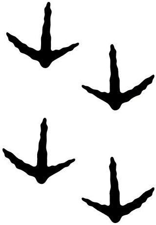 319x459 Turkey Track Stoa Decals, Sheet With 4 Tracks Hunting Stickers