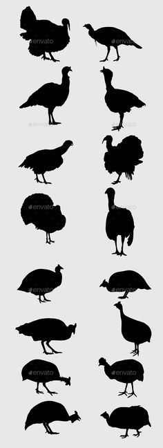 236x648 Silhouette Turkey Silhouette Vectors For Your Thanksgiving Day