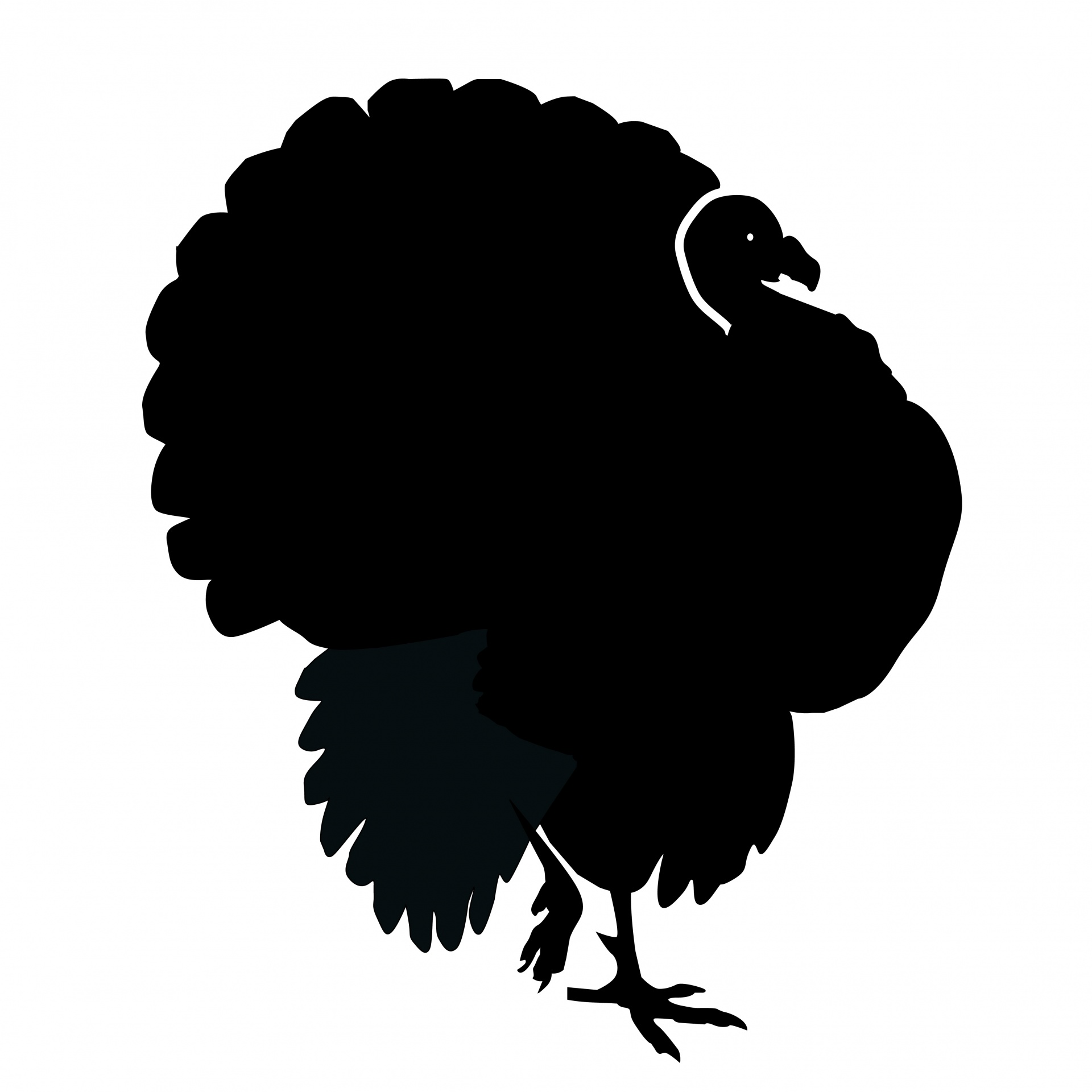 1920x1920 Turkey Silhouette Free Stock Photo