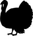 111x120 Turkey Silhouette Clipart