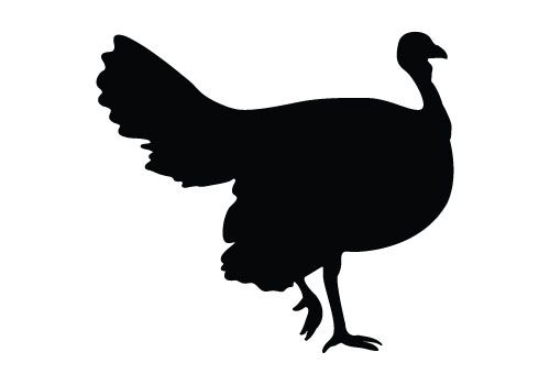 500x350 Silhouette Turkey Silhouette Vectors For Your Thanksgiving Day