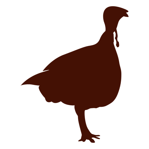 512x512 Turkey Standing Silhouette