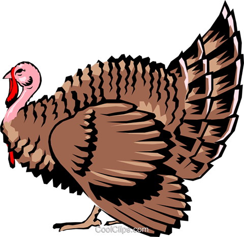 480x467 Wild Turkey Clip Art