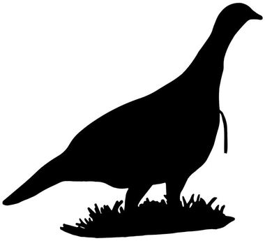 380x345 Wildlife Clipart Turkey Hunting