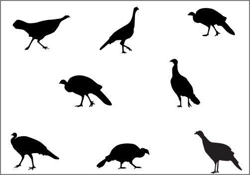 502x352 Turkey Silhouette Clipart Free