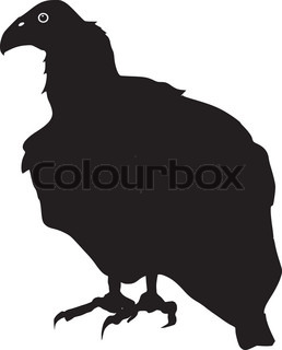 258x320 Silhouette Of Vulture Stock Vector Colourbox
