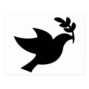 307x307 Black Dove Postcards Zazzle