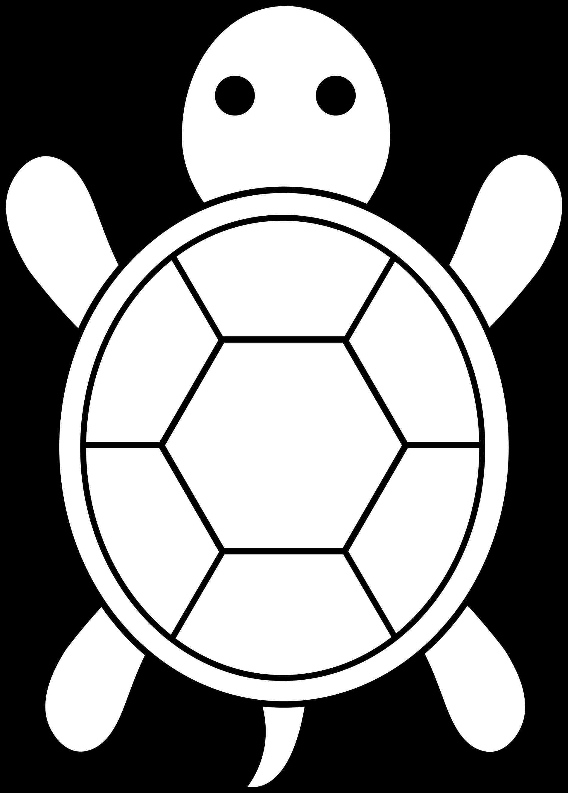 1899x2651 Ninja Turtle Shell Template Image Collections