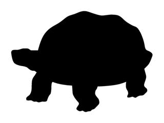 320x240 Turtle Silhouette 2 Decal Sticker