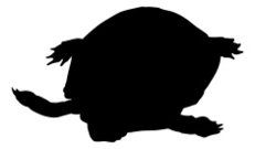 231x135 Turtle Silhouette Premium Clipart