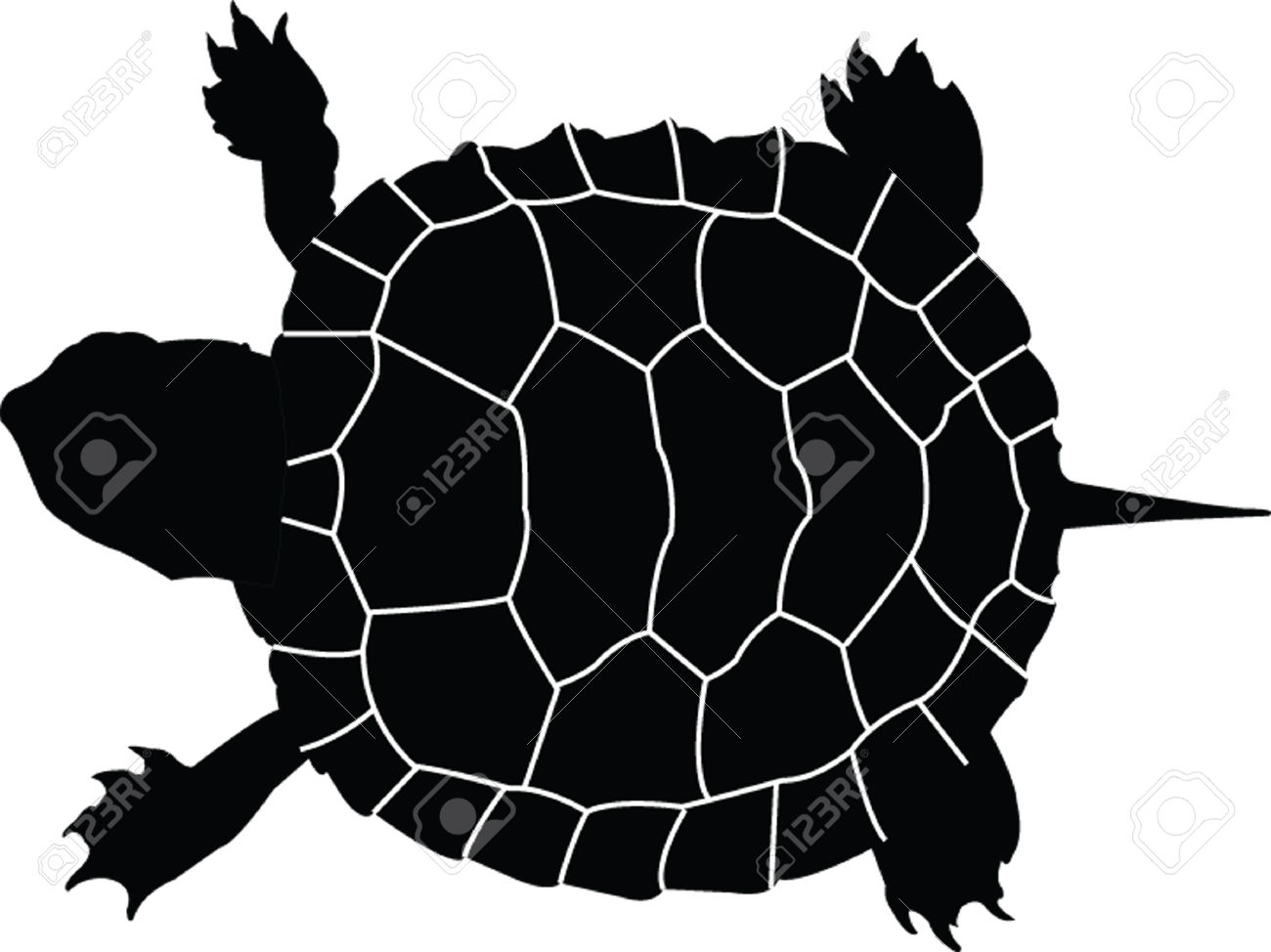 1300x974 Best Turtle Silhouette