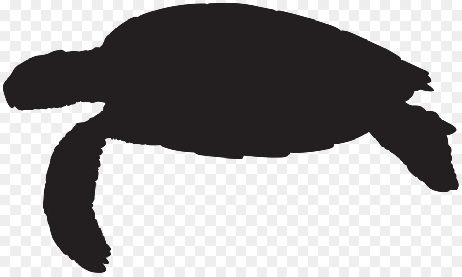 900x540 Sea Turtle Reptile Silhouette Clip Art