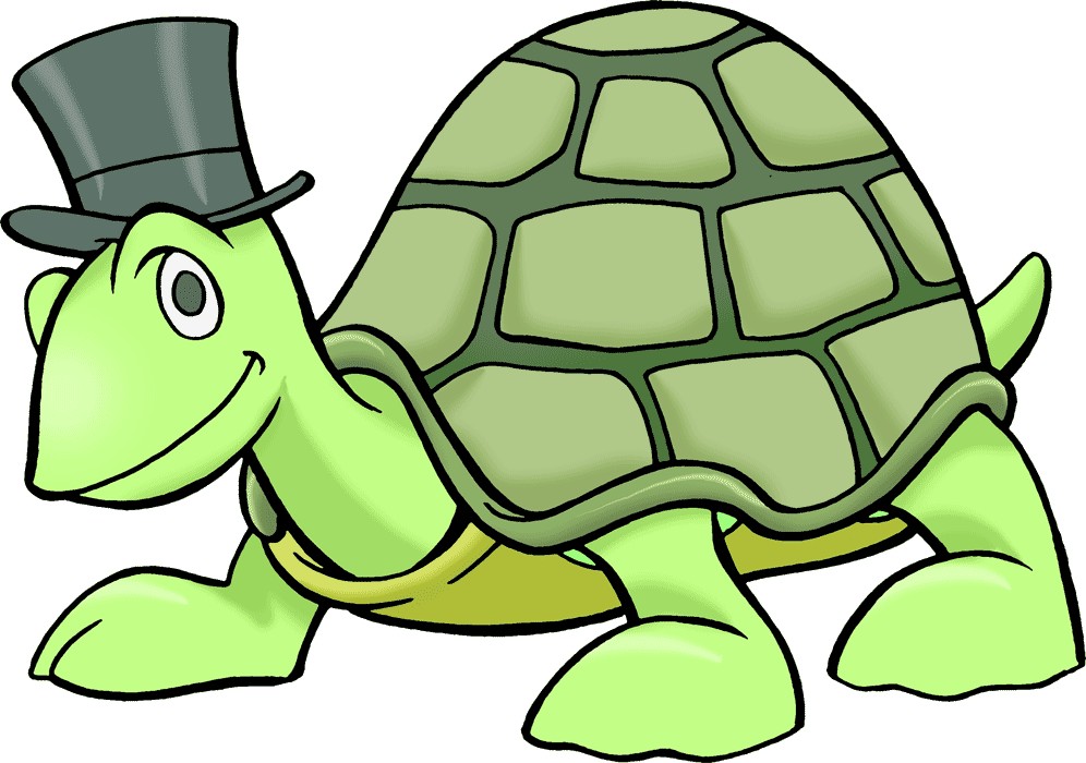 996x700 Turtle Images Clipart Collection