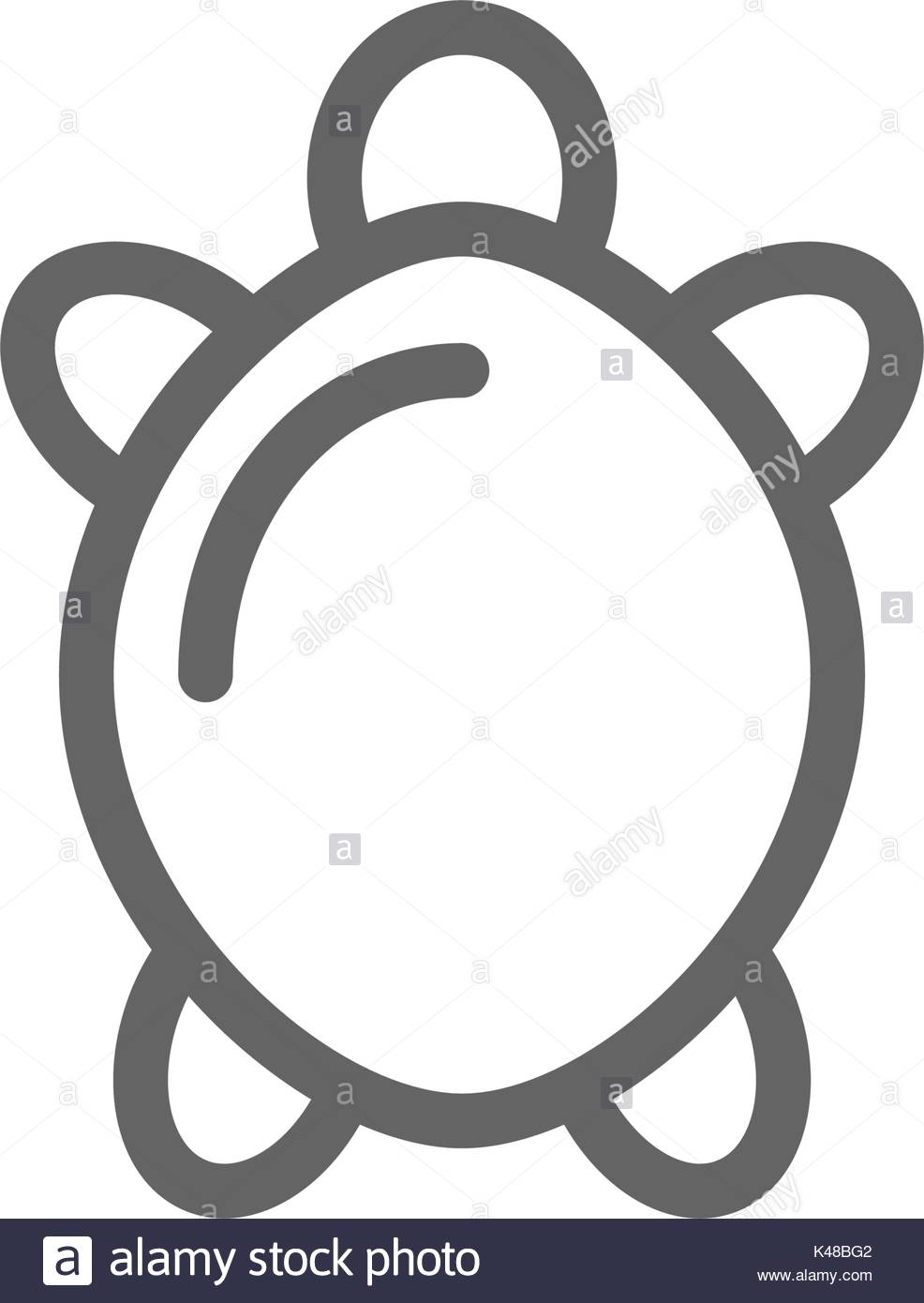 986x1390 Turtle Vector Stock Photos Amp Turtle Vector Stock Images