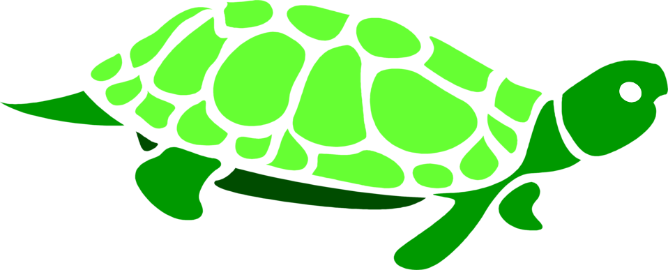 958x387 Turtle Clipart Transparent Background