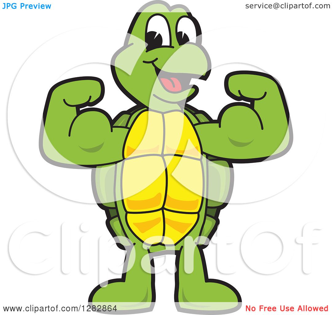 1080x1024 Clipart Of A Happy Turtle School Mascot Character
