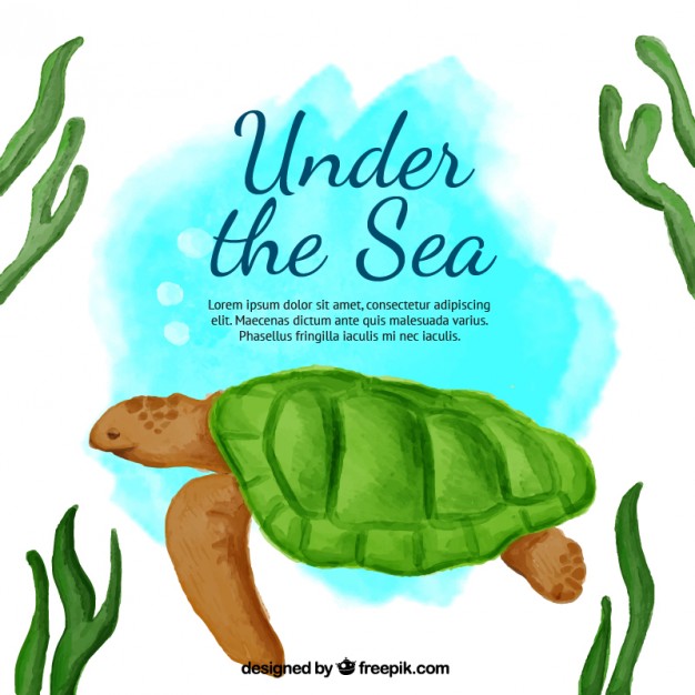 626x626 Cute Watercolor Background With A Turtle Vector Free Download