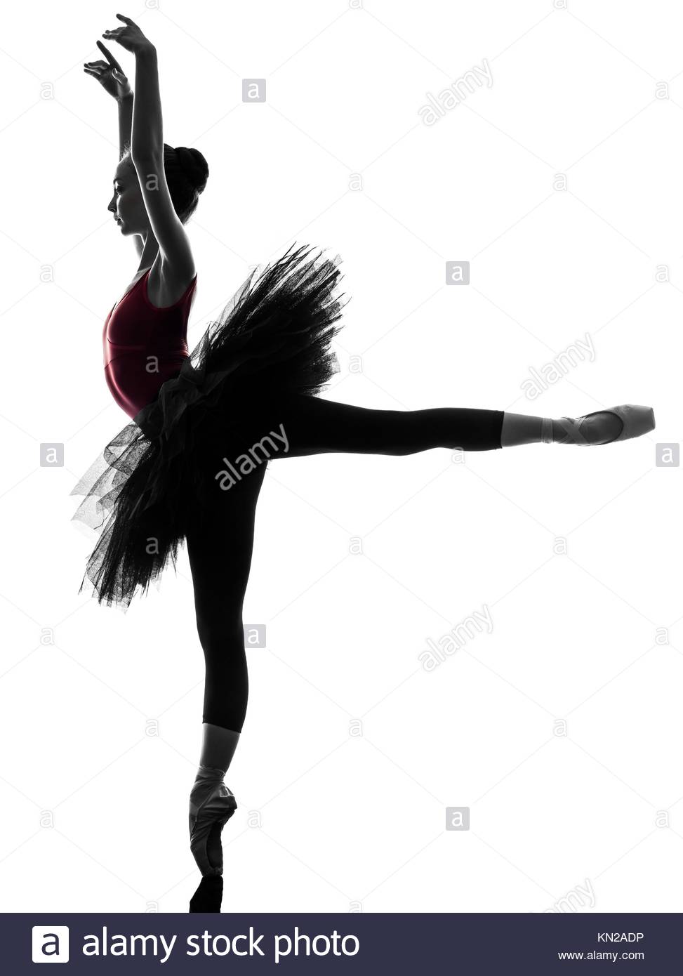 973x1390 One Caucasian Young Woman Ballerina Ballet Dancer Dancing