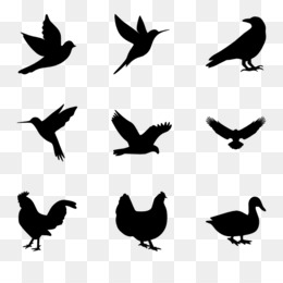 260x260 Tweety Bird Cartoon Black And White Clip Art